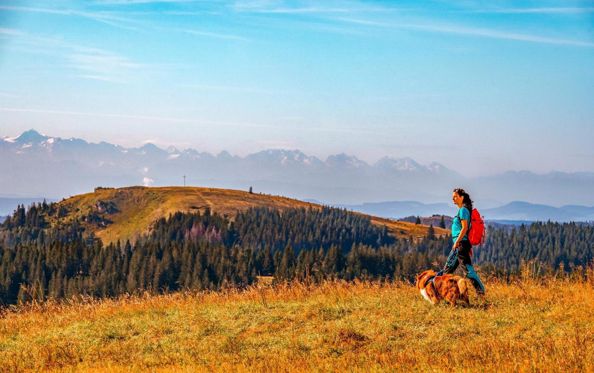 Ferienwohnungen Kehrwieder Todtnauberg Zewnętrze zdjęcie